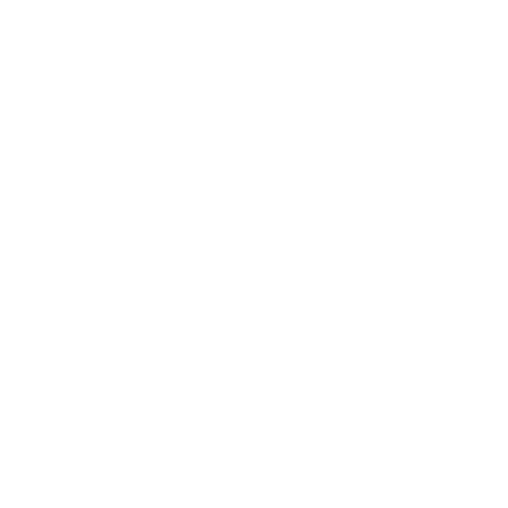 VALGRIND ICON